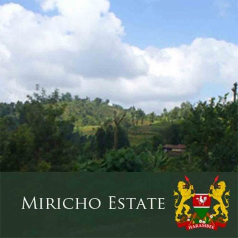 J Martinez Single Origin Miricho Estate Kenya AA Dark Roast Coffee 8 OZ