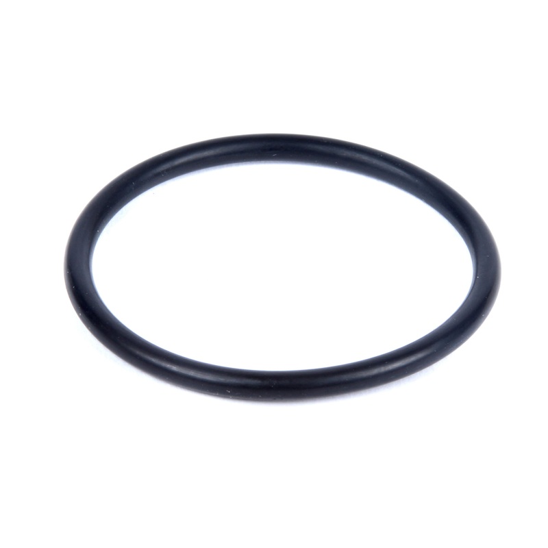 Large Gasket For Rancilio Pod Adaptor Kit | Rancilio RA-36404040